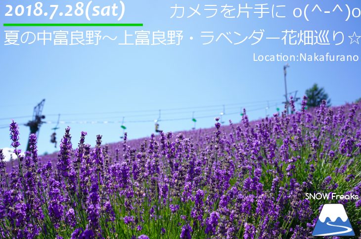 カメラを片手に夏の中富良野～上富良野・ラベンダー花畑巡り☆